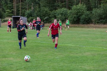 Bild 258 - Frauen SG NieBar - HSV 2 : Ergebnis: 4:3